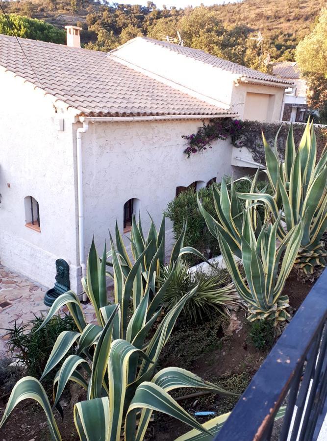 Appartements Dans Villa En Rez De Jardin Hyères Exterior foto