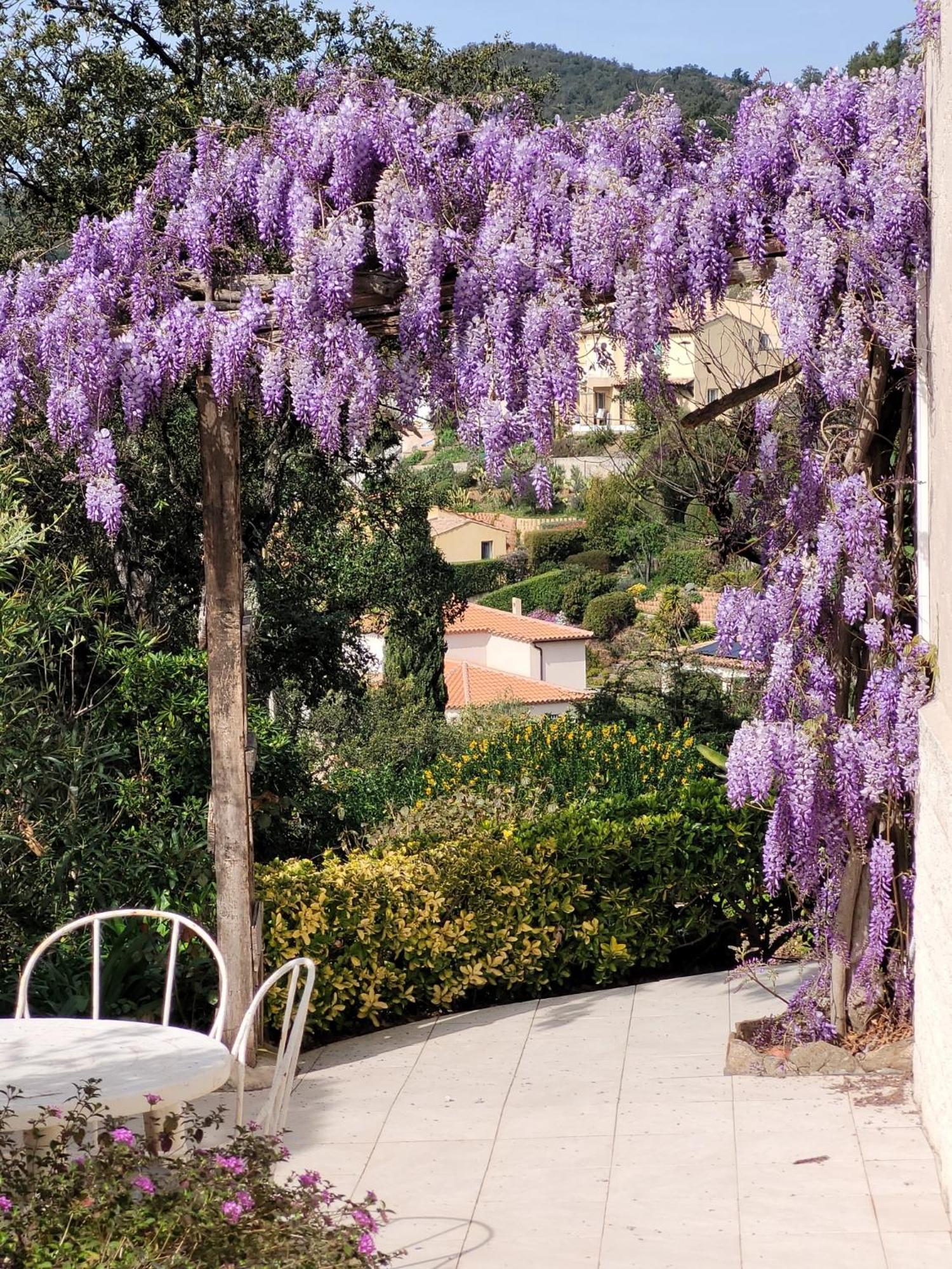 Appartements Dans Villa En Rez De Jardin Hyères Exterior foto