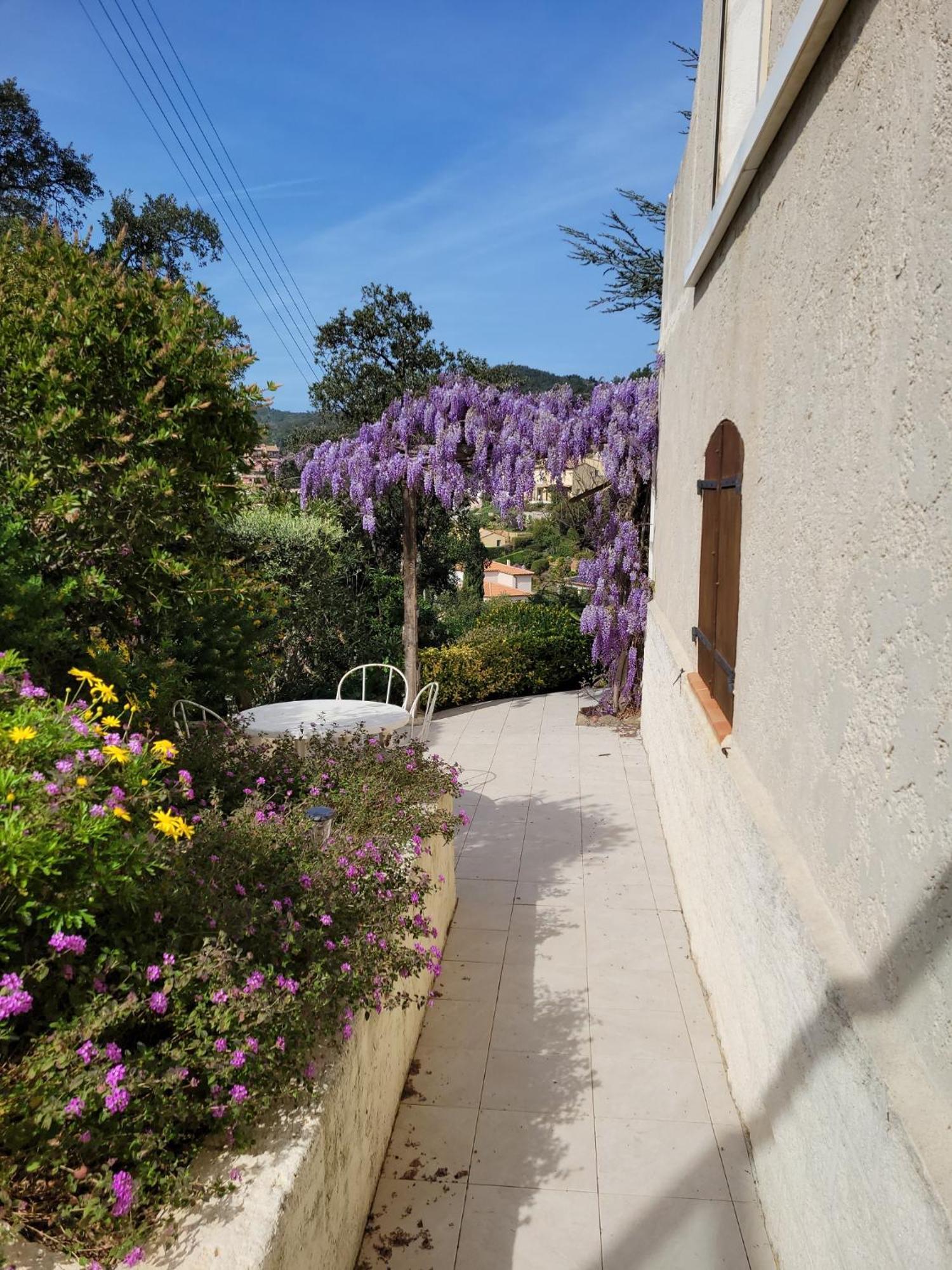 Appartements Dans Villa En Rez De Jardin Hyères Exterior foto